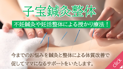 子宝鍼灸整体